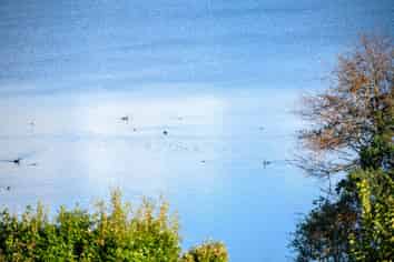 8 Kitchener Road, Takapuna