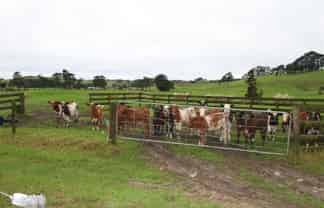 40 Millennium Way, Waipu