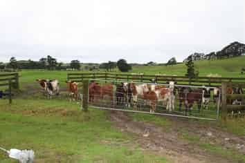 40 Millennium Way, Waipu