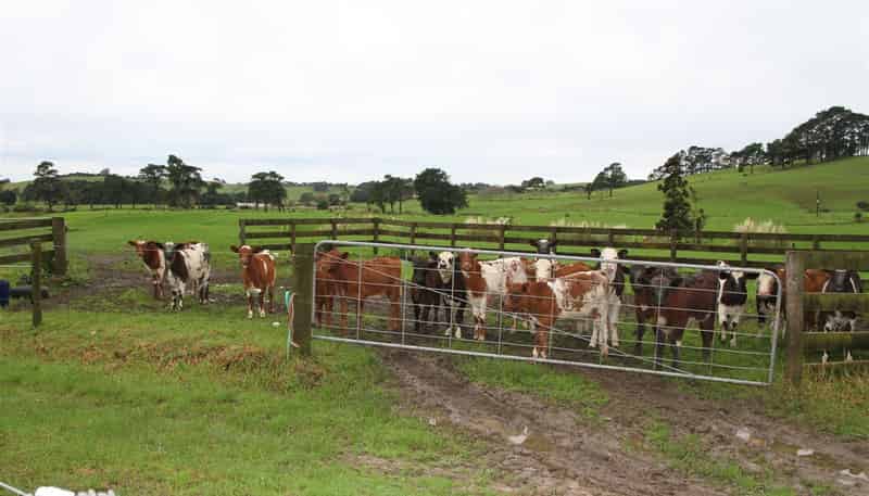 40 Millennium Way, Waipu