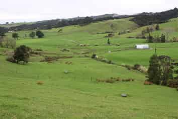 40 Millennium Way, Waipu