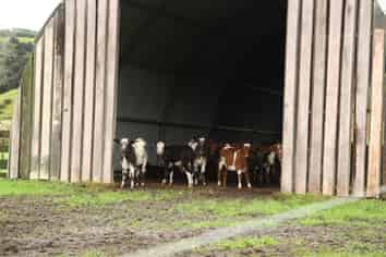 40 Millennium Way, Waipu