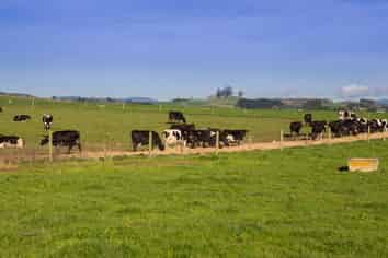 74 Ellicott Road, Wharepapa South