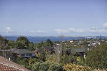 88 Hastings Road, Mairangi Bay