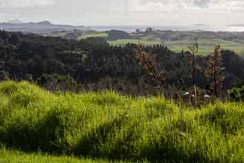 Lot 2 Te Arai Pt Road, Mangawhai