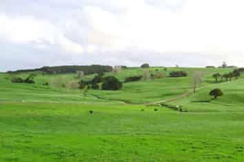 176 Prictor Road, Wellsford