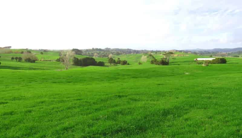 176 Prictor Road, Wellsford