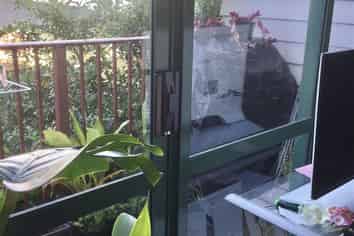 18/1 Briar way, New Lynn