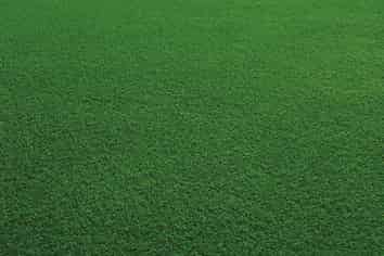 Land Right Next to the Airport