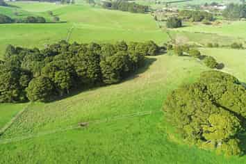 Lot 4 Storey Road, Waiuku