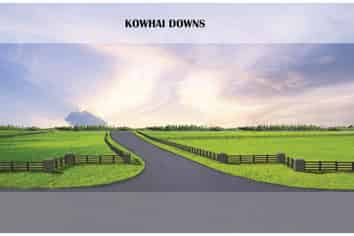 69 Inland Kaikoura Road, Kaikoura