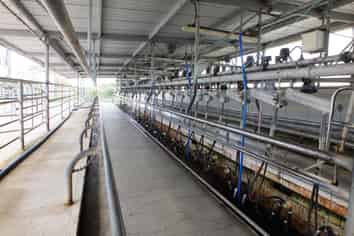 Manawatu / Whanganui - Address withheld