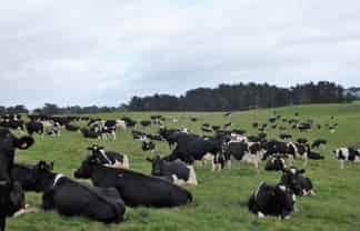 Manawatu / Whanganui - Address withheld