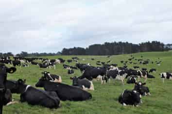 Manawatu / Whanganui - Address withheld