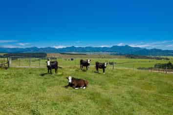 75 Kahu Way, Blenheim Central
