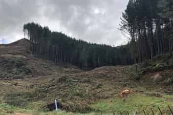  Brewer Road, Douglas