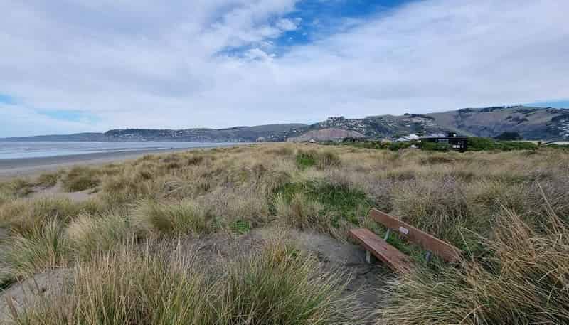 172 Rocking Horse Road, Southshore