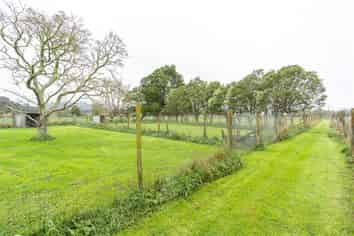 1461 Te Pahu Road, Whatawhata