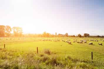 1 Leeston Dunsandel Road, Leeston