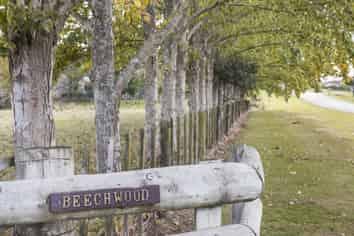 197 Tutaki Road, Kelvin Grove