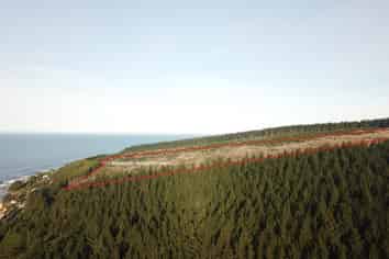  Shag Point Road, Palmerston