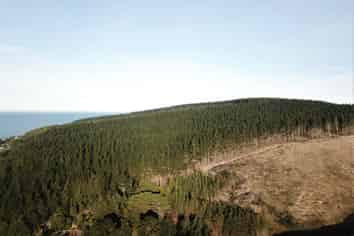  Shag Point Road, Palmerston