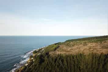  Shag Point Road, Palmerston