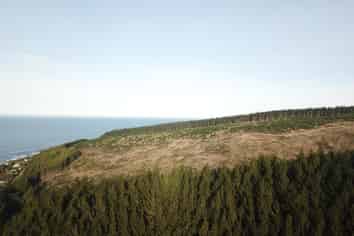  Shag Point Road, Palmerston