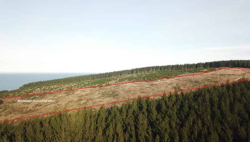  Shag Point Road, Palmerston