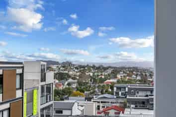 401/11 Vinegar Lane, Mount Eden