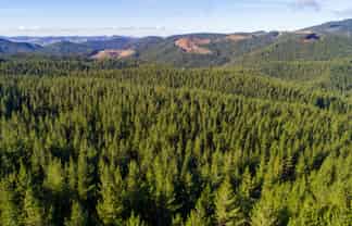  Blairlogie-Langdale Road, 