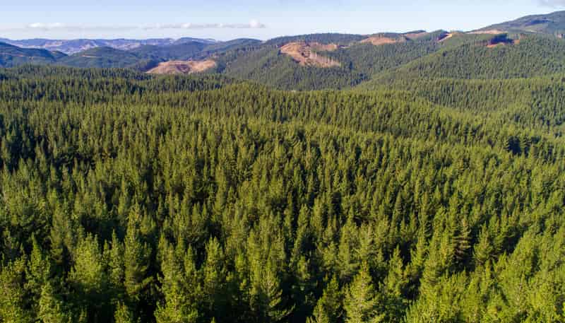  Blairlogie-Langdale Road, 