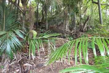 48 Scott Road, Tamaterau