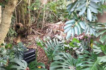 48 Scott Road, Tamaterau