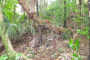 48 Scott Road, Tamaterau