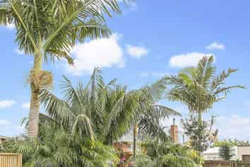 2/15 Riverview Road, Panmure