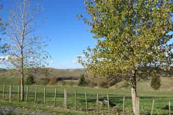 Matapiro Road, Crownthorpe