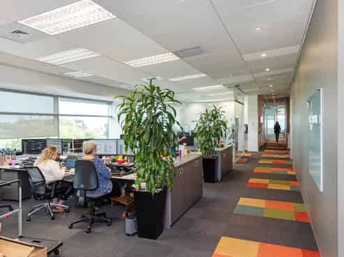 ROCK SOLID IN ROCKRIDGE