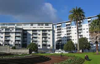 204/10 Ronayne Street, 