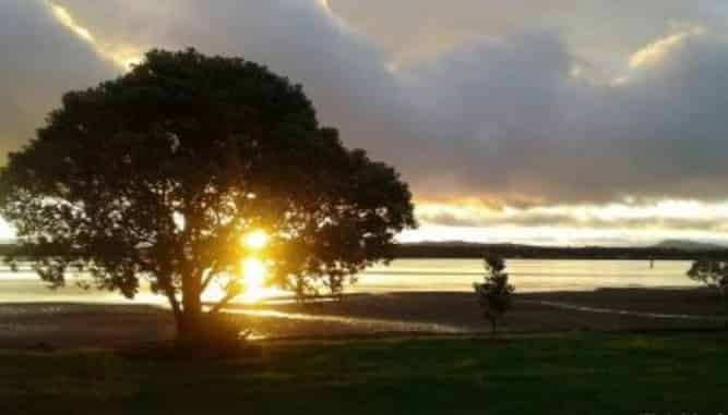 Waterfront _, Tamaterau