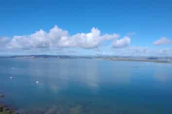 Waterfront _, Tamaterau