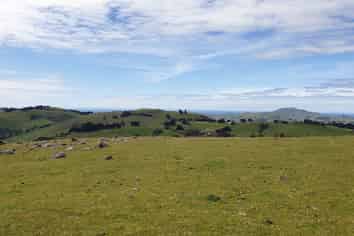 Lot 1 Mopanui Road, Waitati