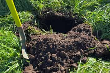 213 Black Swamp Road, Mangawhai Heads