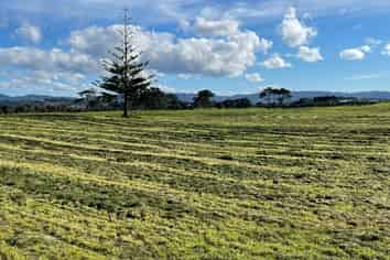 213 Black Swamp Road, Mangawhai Heads