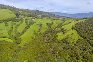 Lot 2/584 Blueskin Road, Waitati