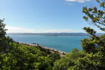 22 Sovereign Point, Kaiwharawhara