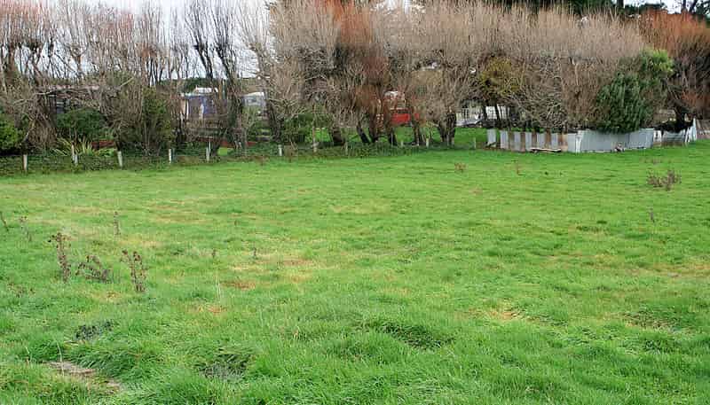 213 Bain Street, Clifton