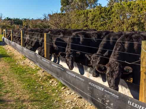 169 Telegraph Road, Burnham