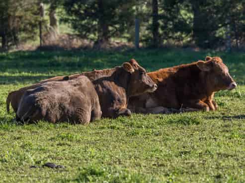 169 Telegraph Road, Burnham