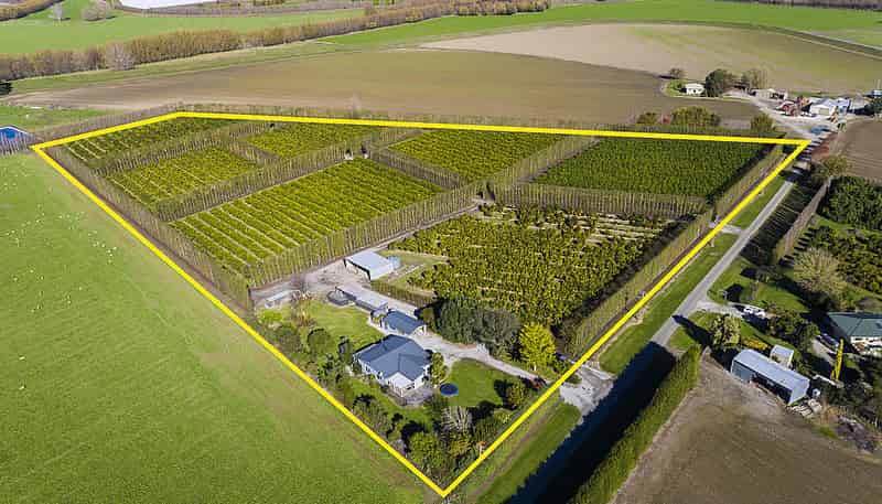 47 Bolitho Road, Waerengaahika